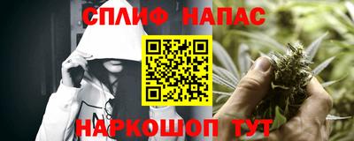 Альфа ПВП Владикавказ