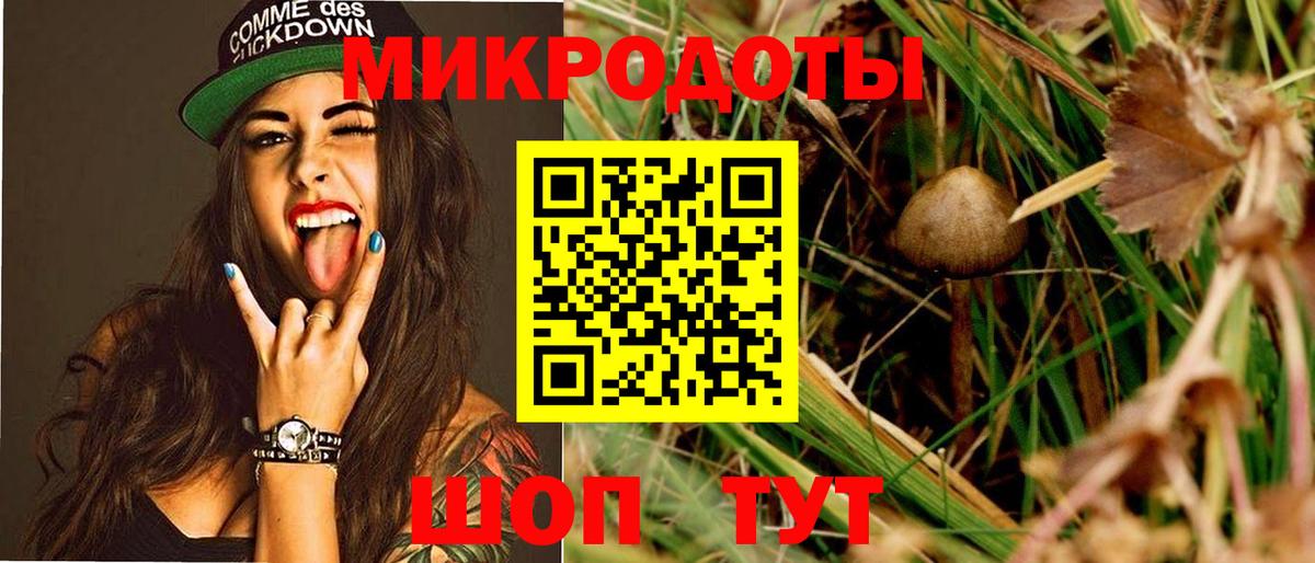 Псилоцибиновые грибы Cubensis  Вход с VPN  Галлюциногенные грибы мухоморы  Нальчик 